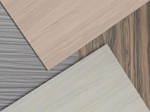 家裝公司的裝修材料偏好 從成本、效果與趨勢解析