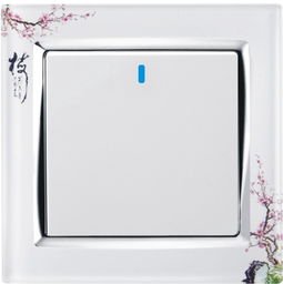 供應家裝墻壁開關插座，打造安全便捷生活空間