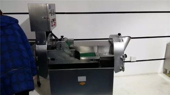 廠(chǎng)家直銷(xiāo)不銹鋼切菜機(jī) 多功能仿手工高效切菜機(jī)助力廚房升級(jí)